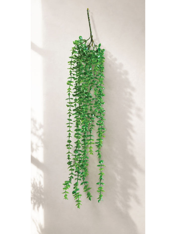 آویز گیاه شمشاد مصنوعی وارداتی (مدل رونده)
