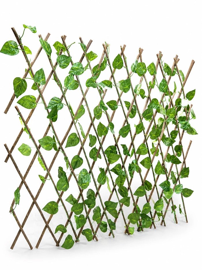 حصار آکاردئونی برگ پتوس 2×1 (2) حصار آکاردئونی برگ پتوس 2×1 (2)